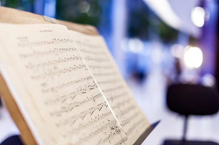 Neformální zahájení festivalu Harmonia Moraviae - Večer s Amadeem