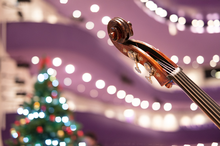 TRADIČNÍ RYBOVKA BUDE